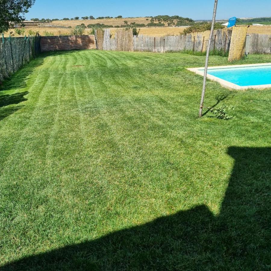 Casas Olmo Y Fresno Jardin Y Piscina A 17 Kilometros De Salamanca Dış mekan fotoğraf